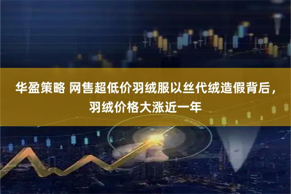 华盈策略 网售超低价羽绒服以丝代绒造假背后，羽绒价格大涨近一年