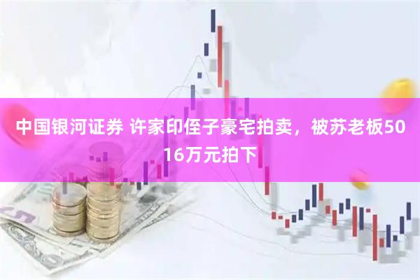 中国银河证券 许家印侄子豪宅拍卖，被苏老板5016万元拍下