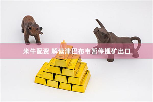 米牛配资 解读津巴布韦暂停锂矿出口
