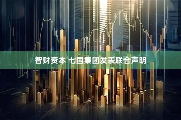 智财资本 七国集团发表联合声明