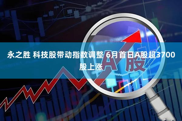 永之胜 科技股带动指数调整 6月首日A股超3700股上涨