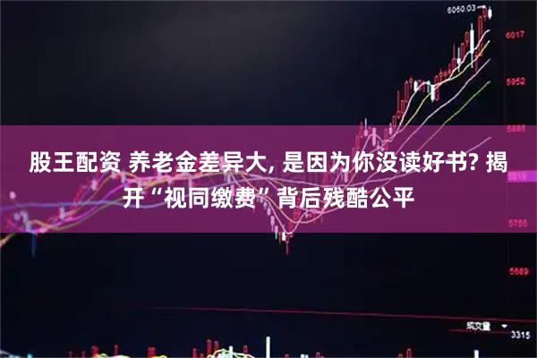 股王配资 养老金差异大, 是因为你没读好书? 揭开“视同缴费”背后残酷公平