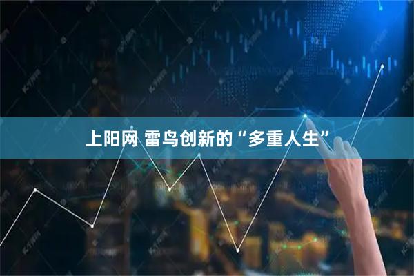 上阳网 雷鸟创新的“多重人生”
