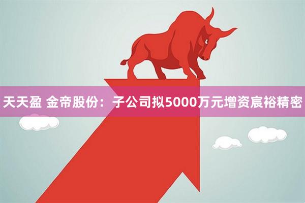 天天盈 金帝股份：子公司拟5000万元增资宸裕精密